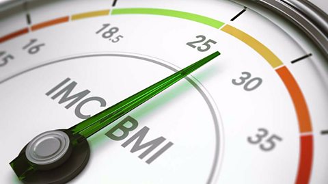BMI calculator