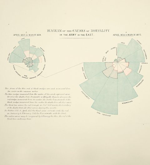 A graph invented by Florence Nightingale which shows the causes of death among soldiers in the Crimean War. It was sent to the government to highlight the high number of casualties lost to disease.