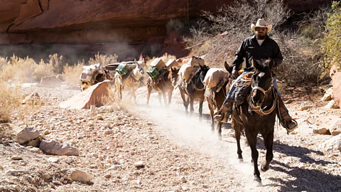 Reuben Hernandez Mail-by-mule train (Credit: Reuben Hernandez)