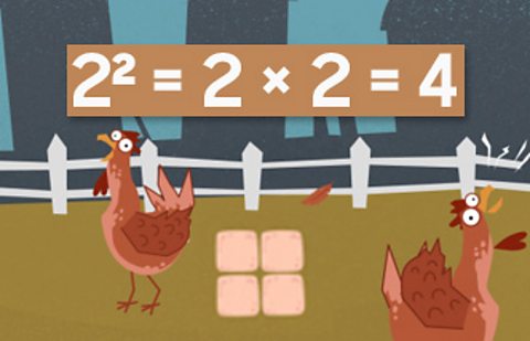 chickens and eggs showing the square number - 4 