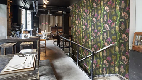 Cactus Mexicanos design