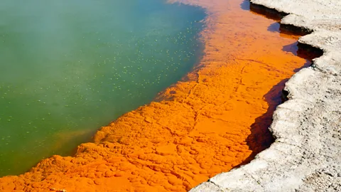 Alamy The highly toxic orpiment, rich in lethal arsenic, is found in fumaroles and was used to create the orange pigment for centuries (Credit: Alamy)