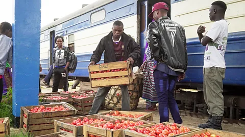 Thomas Lewton (Credit: Thomas Lewton)