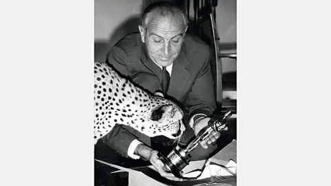 Alamy Bernhard Grzimek, head of the Berlin Zoo and director of the 1959 best documentary feature winner Serengeti Must Not Die, presents his Oscar to Giggi, a leopard (Credit: Alamy)