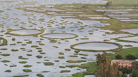 Ben McKechnie Lake Loktak, Manipur, India