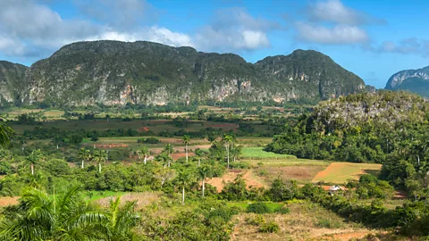 Rachel Lewis/Getty Images Viñales is known for its limestone hills (Credit: Rachel Lewis/Getty Images)