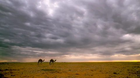 Medford Taylor/Getty Images The outback covers more than 6 million sq km, making it nearly twice the size of India (Credit: Medford Taylor/Getty Images)