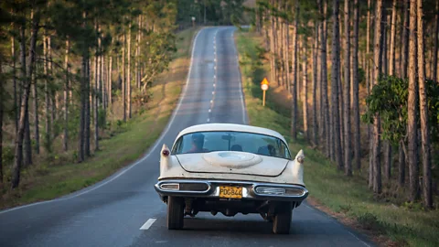 Martchan/Alamy Margherita Ragg: “There’s a lot of positivity out there, especially where you least expect it” (Credit: Martchan/Alamy)