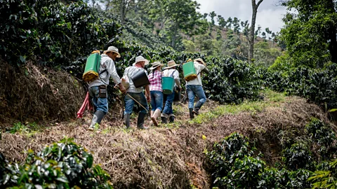 Getty Images Humans experience a survival advantage when we work together (Credit: Getty Images)