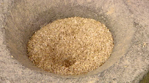 Rice Ambient pounding Lrg
