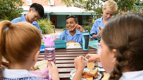 Children eating lunch