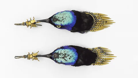 Victoria and Albert Museum, London Rare creatures were sacrificed to create fashion items, such as these 1875 earrings made from the heads of Honeycreeper birds (Credit: Victoria and Albert Museum, London)