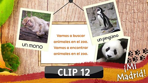 Animales en el zoo