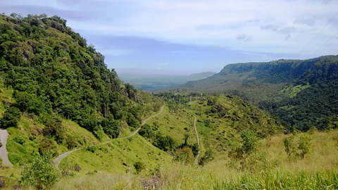 Getty Images In Papua New Guinea, the Berinmo people use a single word to denote both blue and green (Credit: Getty Images)
