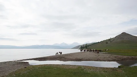 Alamy Microplastics are even found in remote places, like Lake Hovsgol in Mongolia (Credit: Alamy)