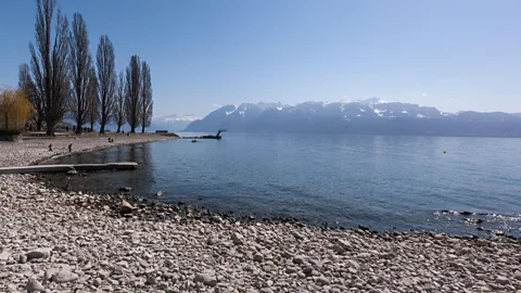 Alamy The team found many noxious chemical elements in the plastics from Lake Geneva (Credit: Alamy)