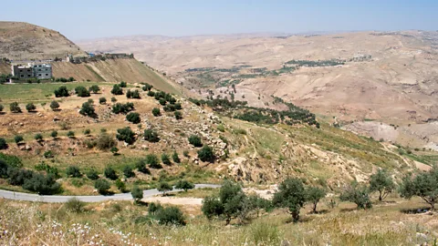 Amanda Ruggeri (Credit: Amanda Ruggeri)