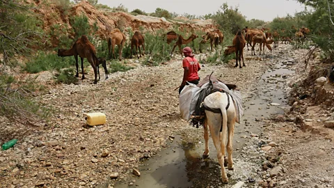 Getty Images (Credit: Getty Images)