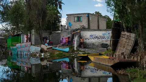 Carlos Cazalis/INSTITUTE (Credit: Carlos Cazalis/INSTITUTE)