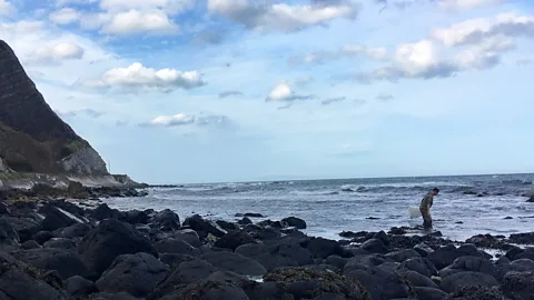dulse, Northern Ireland