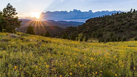 U.S. Forest Service Coconino National Forest Zoll believes the Sunagua people created the calendar to mark religious ceremonies and track their crops' growing seasons (Credit: U.S. Forest Service Coconino National Forest)
