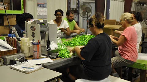 Alliance Rubber Company Employees at Alliance Rubber are encouraged to be as flexible as the products they produce (Credit: Alliance Rubber Company)