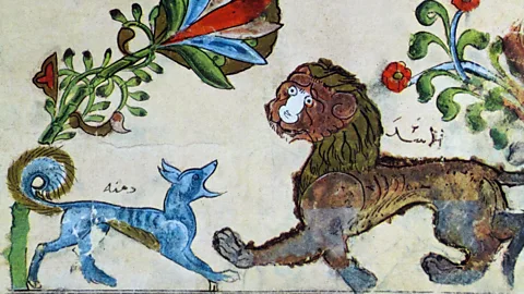 Alamy Arab artists have long illustrated stories from the Panchatantra such as this drawing of the jackal Dimnah and the lion Pingalaka (Credit: Alamy)