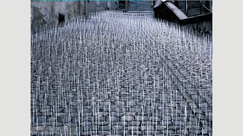 Ivan Kafka/Artlist.cz In 1981 Ivan Kafka covered a street in Prague with 1,000 upright wooden sticks – the only way people could get to work was by trampling them (Credit: Ivan Kafka/Artlist.cz)