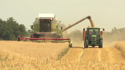 Geography KS3/4: Intensive farming