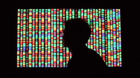 Getty Images Genes shape much of who we are, but they are not the only factor (Credit: Getty Images)