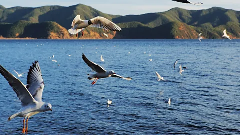Lugu Lake, Mosuo people, The Kingdom of Women, China
