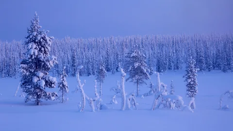 Henrik Kettunen/Alamy Finland’s long, cold winters can be hard to cope with psychologically (Credit: Henrik Kettunen/Alamy)