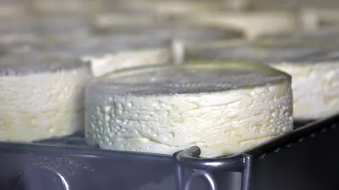 Emily Monaco Controversial new AOP regulations will allow camembert to be produced using pasteurised milk (Credit: Emily Monaco)