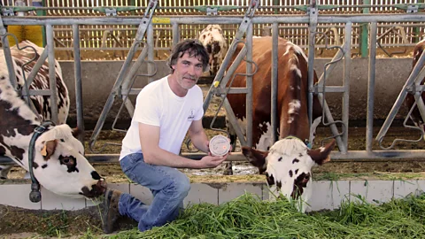 Emily Monaco Cheesemaker Nicolas Durand is the last of his kind, producing raw-milk camembert on his farm just outside the village of Camembert (Credit: Emily Monaco)