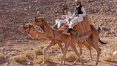 Clodagh Kinsella of Bedouin tribes have long escorted pilgrims across the Sinai (Credit: Clodagh Kinsella)