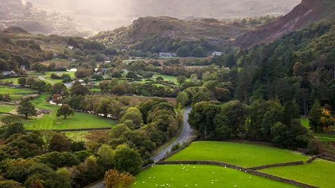 Photos by R A Kearton/Getty Images The word cwtch is intrinsically Welsh and evokes a sense of home (Credit: Photos by R A Kearton/Getty Images)