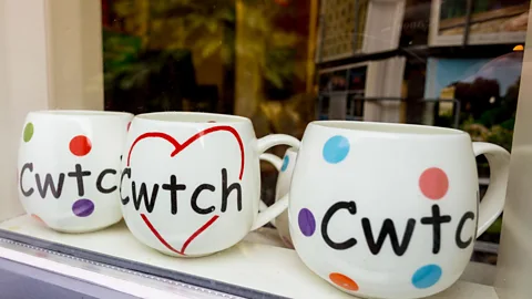 Ian Gibson/Alamy Cwtch was named as Wales’ best-loved word in 2007 (Credit: Ian Gibson/Alamy)