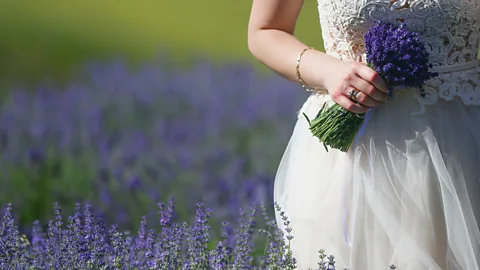 Getty Images We expect that a future event, good or bad, will make us feel substantially different than we do now – but it doesn’t (Credit: Getty Images)