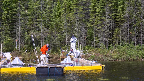 IISD Experimental Lakes Area Researchers drop bitumen into a Canadian lake in the Forest study, unrelated to Boreal (Credit: IISD Experimental Lakes Area)