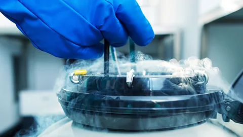 Getty Images On top of the fees to retrieve the eggs, clinics usually charge women hefty annual fees to cover storage in cryopreservation tanks (Credit: Getty Images)