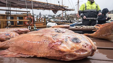 Nori Jemil An independent way to fish (Credit: Nori Jemil)