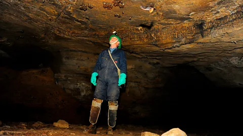 Getty Images A speleologist looks at a White Nose Syndrome fungus in a cave in Virginia; the fungus has been killing off bats from Europe to the US (Credit: Getty Images)