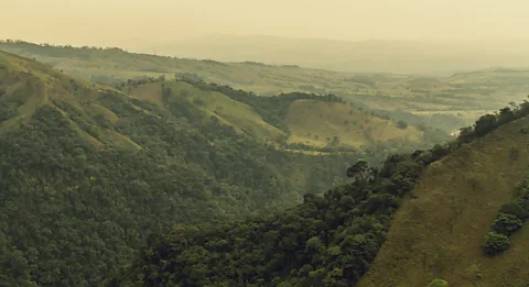 Sergio Fabara Colombian jungle and hills (Credit: Sergio Fabara)