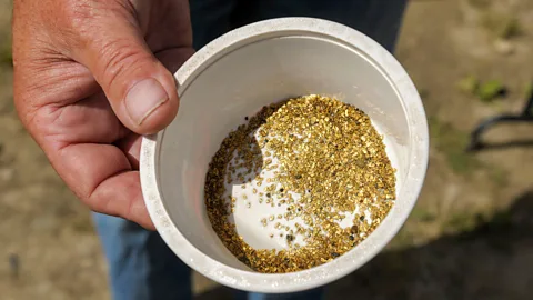 Hemis/Alamy In his first two years on the river, Eugene found roughly $5,000 worth of gold (Credit: Hemis/Alamy)