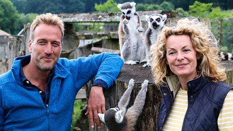 BBC One - Animal Park, Summer Special 2018 - Episode guide
