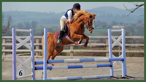 4: Self-esteem - proud to be me