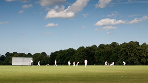 Group of girls playing cricket