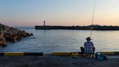 Getty Images Fisherman at the harbour in Seogwipo, Jeju Island, South Korea (Credit: Getty Images)