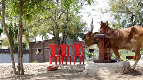 Siddhartha Hajra Theft and faith of divine justice (Credit: Siddhartha Hajra)