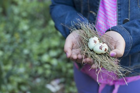 A photo of a girl holding out a small bunch of twigs and two eggs